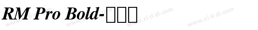 RM Pro Bold字体转换